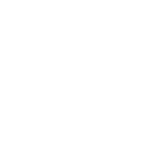 fructifruit_logo